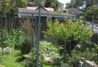 Flinders Rangesvegetable-gardens-12.jpg; ?>