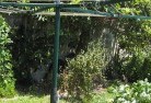 Flinders Rangesvegetable-gardens-13.jpg; ?>