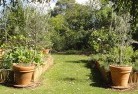 Flinders Rangesvegetable-gardens-3.jpg; ?>