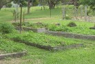 Flinders Rangesvegetable-gardens-5.jpg; ?>